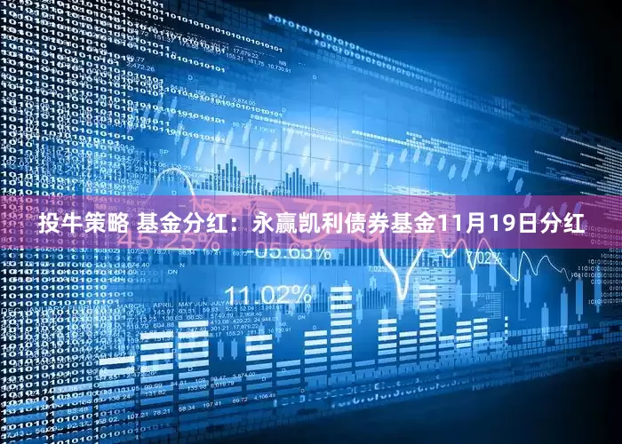 投牛策略 基金分红：永赢凯利债券基金11月19日分红