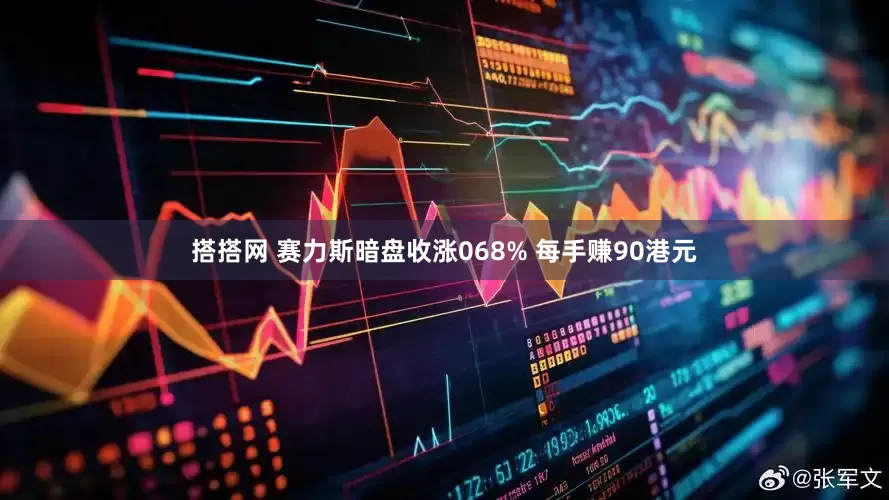 搭搭网 赛力斯暗盘收涨068% 每手赚90港元